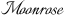 cropped 使用工具生成图片11.png